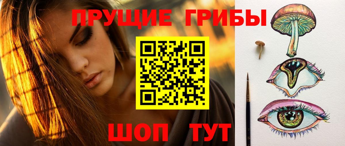 Галлюциногенные грибы Psilocybe Пушкино